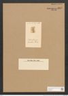 Scoliopleura adriatica Grun. (de-Toni-Nr.: Genus 14, Species 1111) Zeichnungen Sammlung Grunow Nr. 2197 (NHMW-BOT-W0369273)